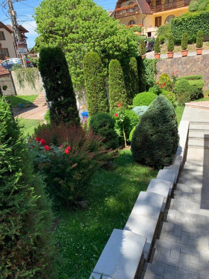 Pensiunea Eva Acomodação com café da manhã Sovata Exterior foto