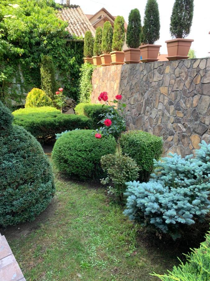 Pensiunea Eva Acomodação com café da manhã Sovata Exterior foto