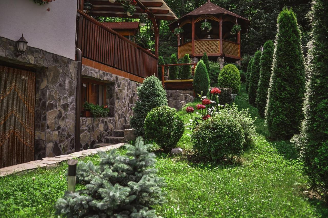 Pensiunea Eva Acomodação com café da manhã Sovata Exterior foto
